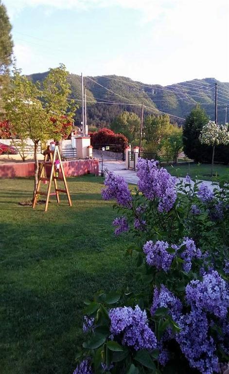 Kavala Villa 360 Degrees Green Amisiana Exterior photo